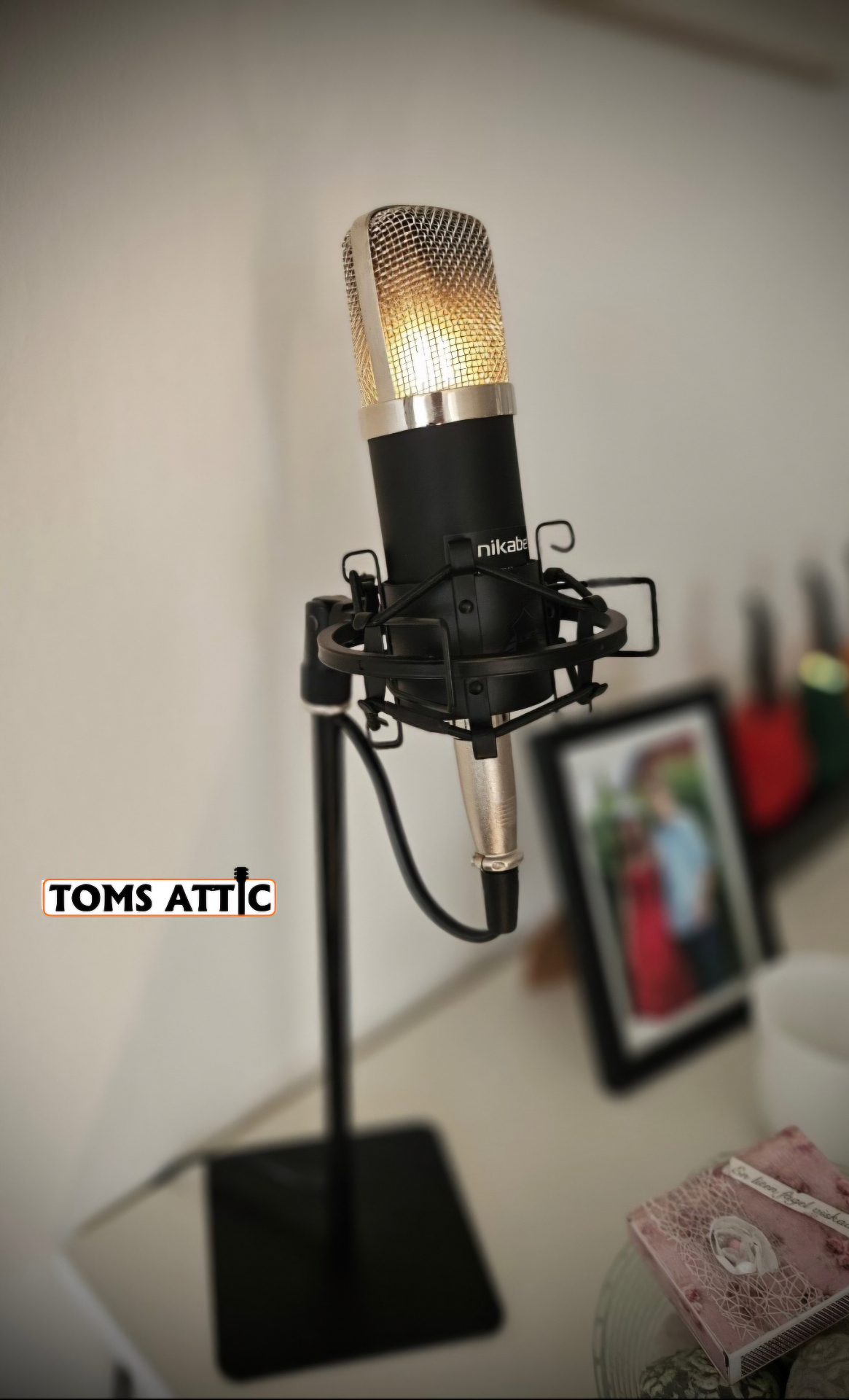Microphone, Desklamp